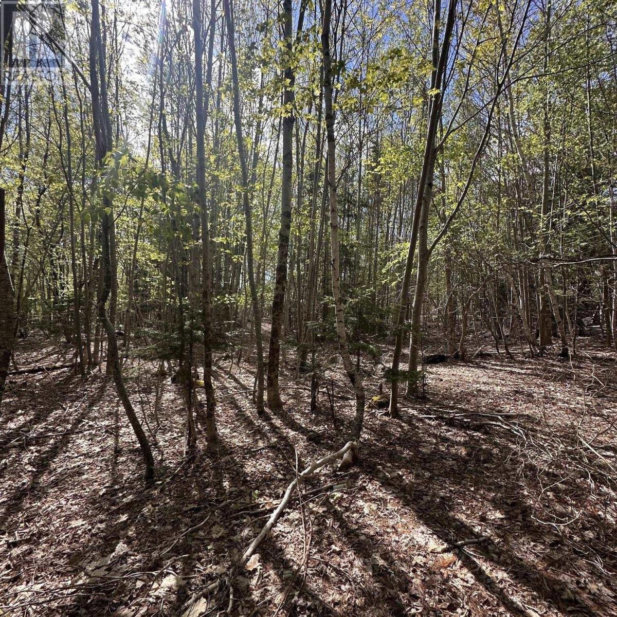76 Wellington Road, Buckfield — photo 3