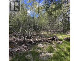 76 Wellington Road, Buckfield, NS B0T1E0 Photo 7
