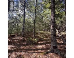 76 Wellington Road, Buckfield, NS B0T1E0 Photo 8