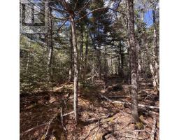 76 Wellington Road, Buckfield, NS B0T1E0 Photo 9