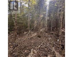 76 Wellington Road, Buckfield, NS B0T1E0 Photo 6