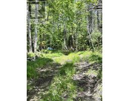 320 Charles Hill Road, Farmington, NS B0R1A0 Photo 20