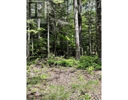 320 Charles Hill Road, Farmington, NS B0R1A0 Photo 18