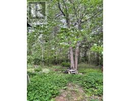 320 Charles Hill Road, Farmington, NS B0R1A0 Photo 14