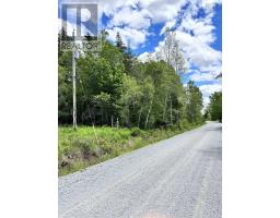 320 Charles Hill Road, Farmington, NS B0R1A0 Photo 25