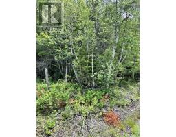 320 Charles Hill Road, Farmington, NS B0R1A0 Photo 26