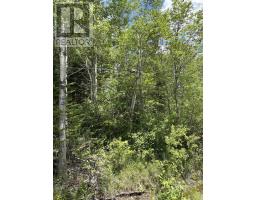 320 Charles Hill Road, Farmington, NS B0R1A0 Photo 28