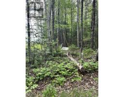 320 Charles Hill Road, Farmington, NS B0R1A0 Photo 16