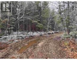 Lot (pid 05046693) Victory Road, Victory, NS B0S1A0 Photo 17