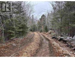Lot (pid 05046693) Victory Road, Victory, NS B0S1A0 Photo 18