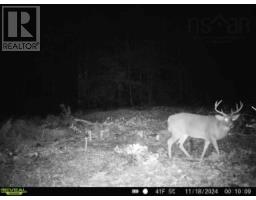 Lot (pid 05046693) Victory Road, Victory, NS B0S1A0 Photo 27
