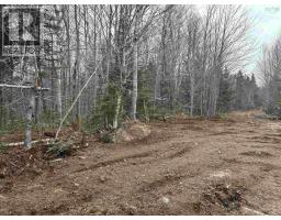 Lot (pid 05046693) Victory Road, Victory, NS B0S1A0 Photo 13