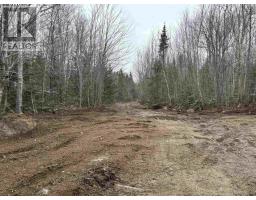 Lot (pid 05046693) Victory Road, Victory, NS B0S1A0 Photo 12