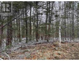 Lot (pid 05046693) Victory Road, Victory, NS B0S1A0 Photo 20