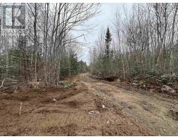 Lot (pid 05046693) Victory Road, Victory, NS B0S1A0 Photo 16