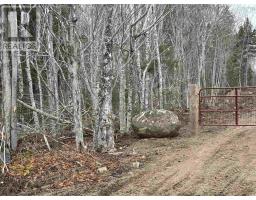 Lot (pid 05046693) Victory Road, Victory, NS B0S1A0 Photo 10