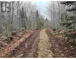 Lot (pid 05046693) Victory Road, Victory, NS B0S1A0 Photo 22