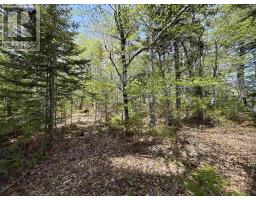 Lot 4-23 Highway 325, West Clifford, NS B4V8H3 Photo 10