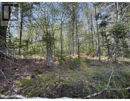 Lot 4-23 Highway 325, West Clifford, NS B4V8H3 Photo 11