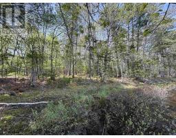 Lot 4-23 Highway 325, West Clifford, NS B4V8H3 Photo 12