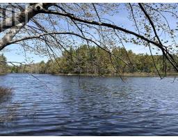 Lot 4-23 Highway 325, West Clifford, NS B4V8H3 Photo 13