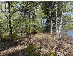 Lot 4-23 Highway 325, West Clifford, NS B4V8H3 Photo 9