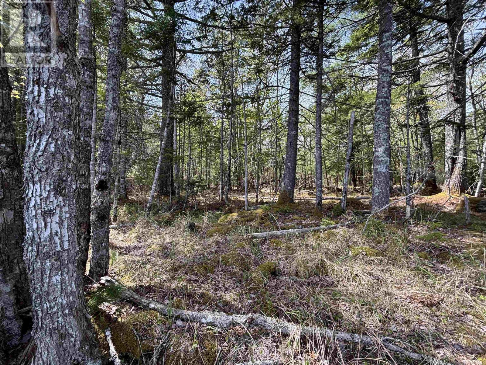 Property 13 of 22 of Lot 3-23 Highway 325