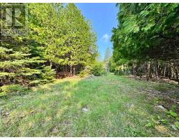 Pt Lt 6 Pike Bay Road, Northern Bruce Peninsula, ON N0H2T0 Photo 13