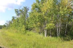 7 Dalvik Road, Gimli Rm, MB R0C2W0 Photo 31