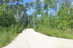 7 Dalvik Road, Gimli Rm, MB R0C2W0 Photo 32