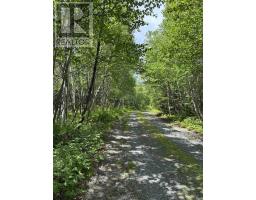 7600 Highway 7 Highway, Goldenville, NS B0J3C0 Photo 45