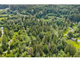 9232 Farrington Street, Mission, BC V4S1J6 Photo 30