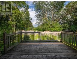 261 Carol Avenue, Newmarket, ON L3Y4T2 Photo 34