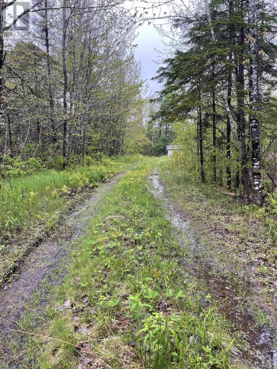1849 Wallace Grant Road - 8
