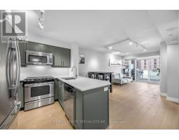 301 - 125 Western Battery Road, Toronto, ON M6K3R8 Photo 25