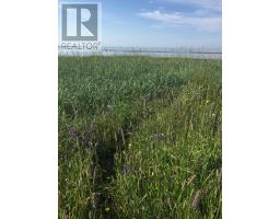 26 Roy's Lane, Augustine Cove, PE C0B1X0 Photo 30