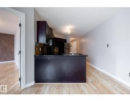 #304 9336 Jasper Av Nw, Edmonton, AB T5H3T5 Photo 14