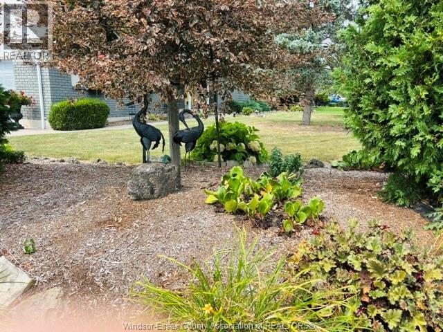 8285 MALDEN ROAD, LaSalle — photo 3