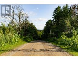 678075 Centre Road, Mulmur, ON L0N1S7 Photo 12