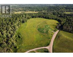 678075 Centre Road, Mulmur, ON L0N1S7 Photo 13
