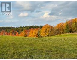 678075 Centre Road, Mulmur, ON L0N1S7 Photo 7