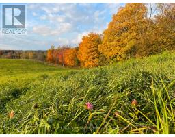 678075 Centre Road, Mulmur, ON L0N1S7 Photo 8