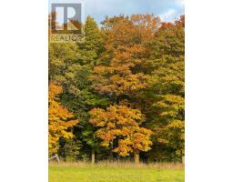 678075 Centre Road, Mulmur, ON L0N1S7 Photo 9