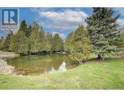 407113 Grey Rd 4 Road, Grey Highlands, ON N0C1E0 Photo 35