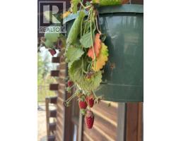 224011 680 Rural Athabasca County, Athabasca, AB T9S2B8 Photo 31