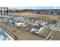 163 Lakewood Circle, Strathmore, AB T1P2J4 Photo 13