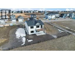 163 Lakewood Circle, Strathmore, AB T1P2J4 Photo 14