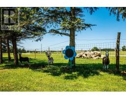 333329 7th Line, Amaranth, ON L9W0K8 Photo 43
