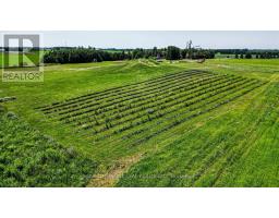 333329 7th Line, Amaranth, ON L9W0K8 Photo 49