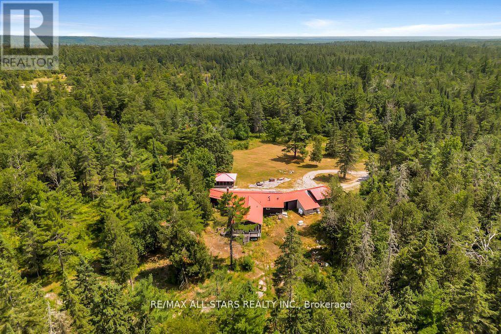 380 LEDGE ROAD, Trent Lakes — photo 3